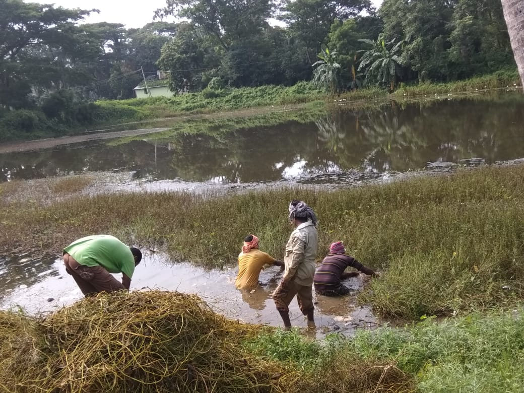 Integrated Agriculture — Aahwahan Foundation