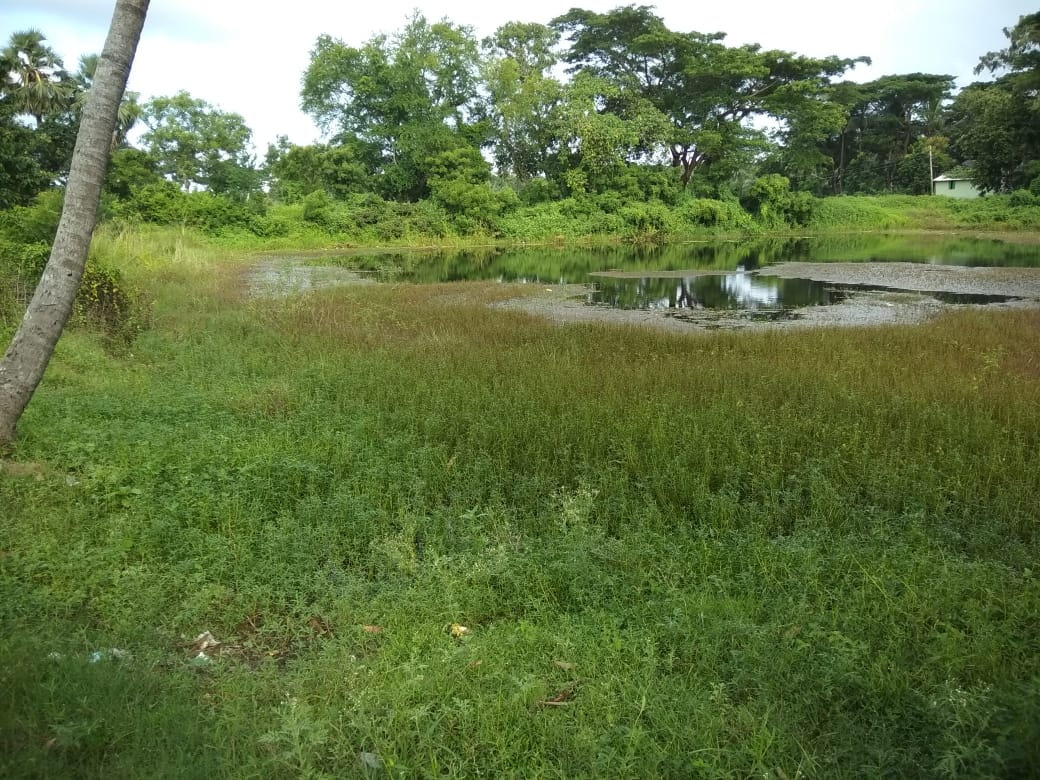 Integrated Agriculture — Aahwahan Foundation
