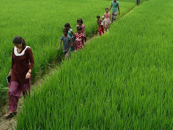 Integrated Agriculture — Aahwahan Foundation