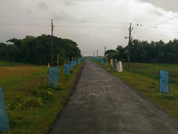 Plantation — Aahwahan Foundation